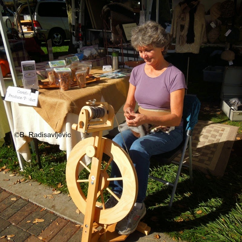 Alpaca Wool at Farmers Market