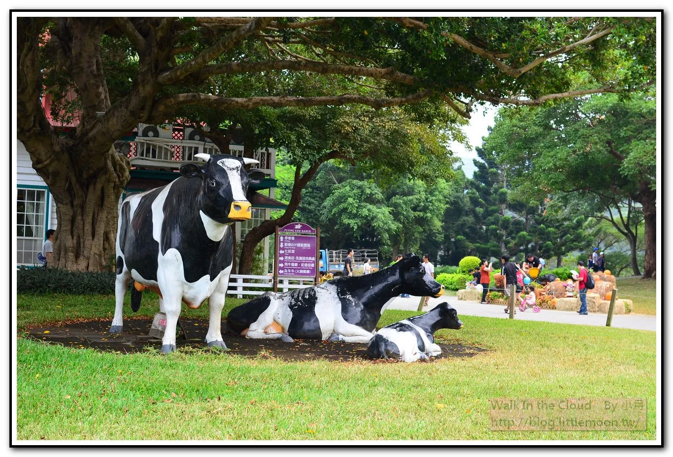 飛牛牧場廣場 - 乳牛模型