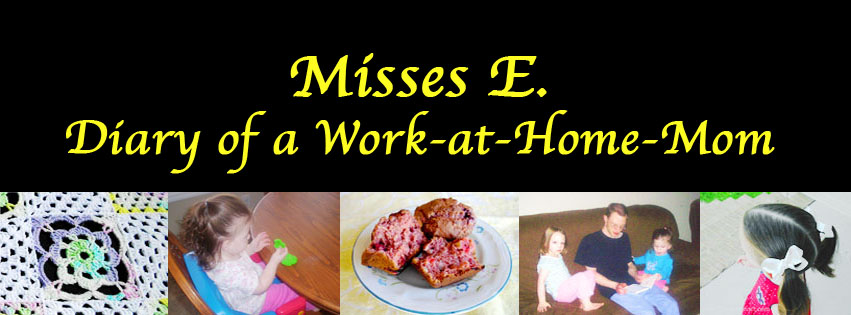 Diary of a Work-at-Home-Mom