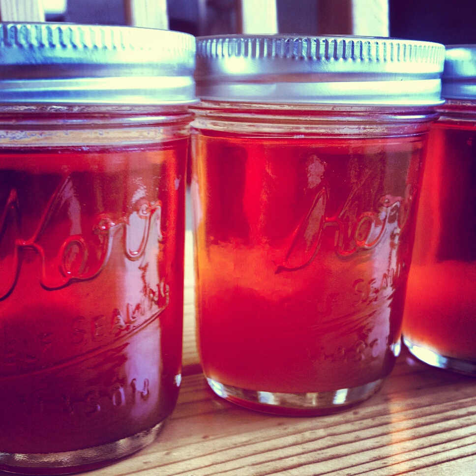 Autumn's Copper Pot RosemaryInfused Strawberry Mimosa Jelly