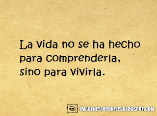 frases del dia frases del dia
