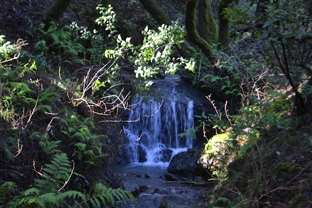 short and wide waterfall