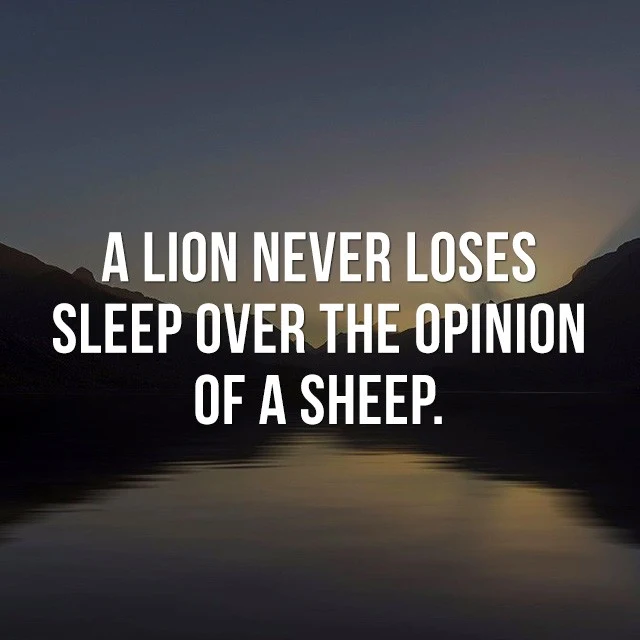 A lion never loses sleep over the opinion of a sheep. - Inspirational Messages