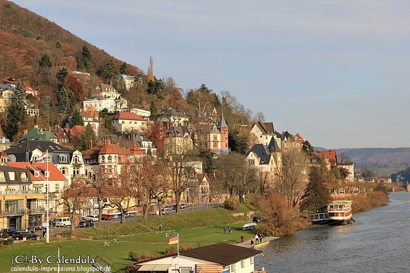 Heidelberg Neckar Neckarwiese Heiligenberg