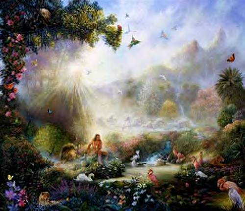 My Image 43