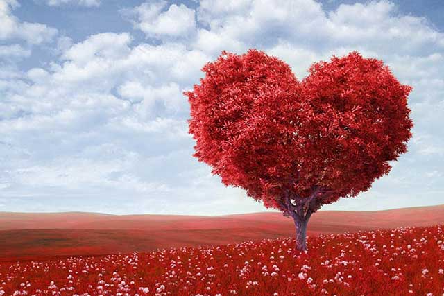 Romantic Places in Delhi for Valentines Day Romantic Places in Delhi for Valentines Day