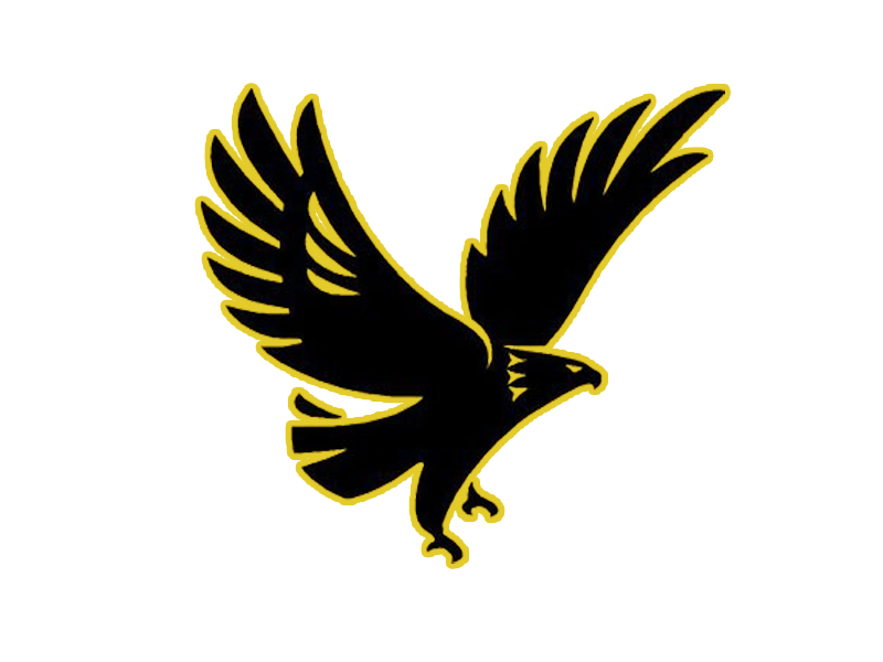 فلاشه تحميل ومشاهدة اهداف مباراة الاهلي و مصر المقاصة 2 1 5 3 2016