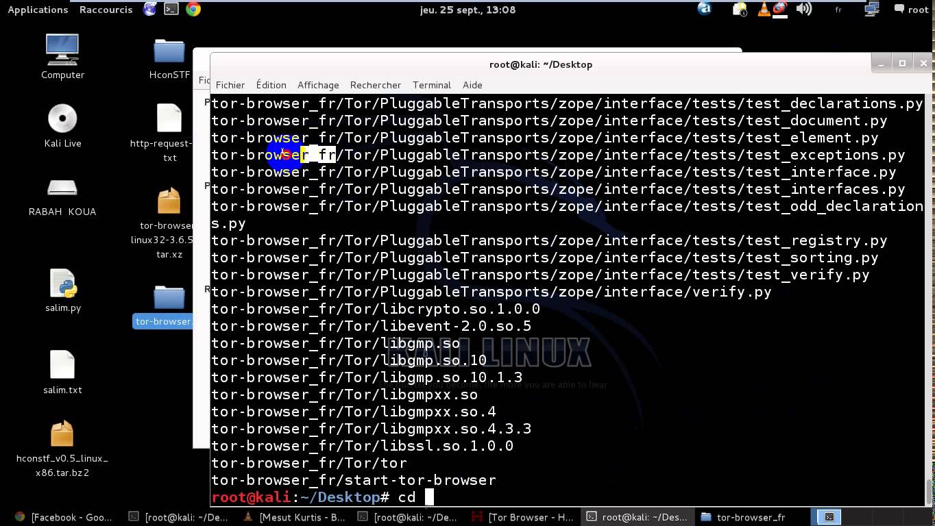 Как установить tor browser на kali linux гирда как удалить тор браузер с компа gidra