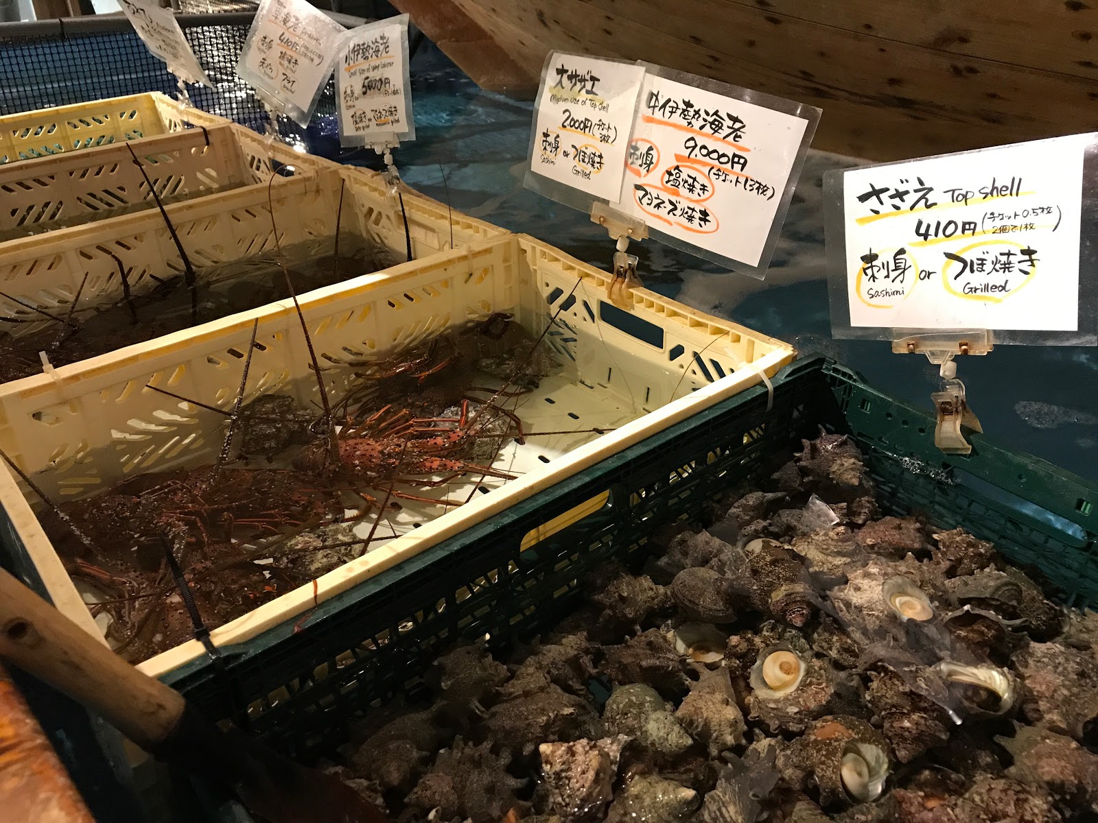 Vikingess Voyages Tokyo Restaurants Fish Your Own Meal At The Fishing Restaurant Zauo