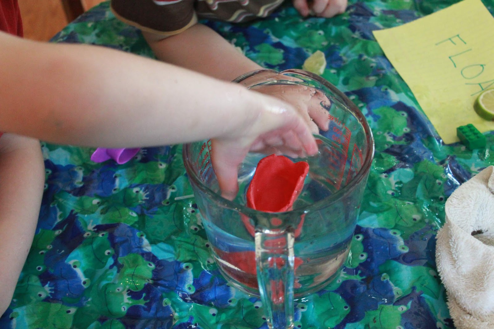 sink or float? momgineer