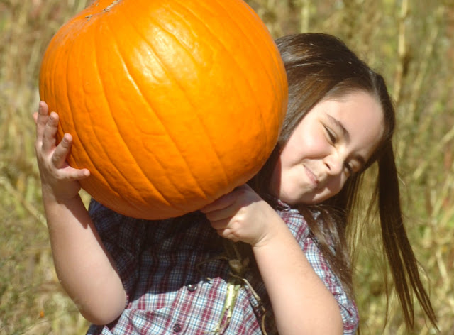 Autumn Nature Activities For Children1