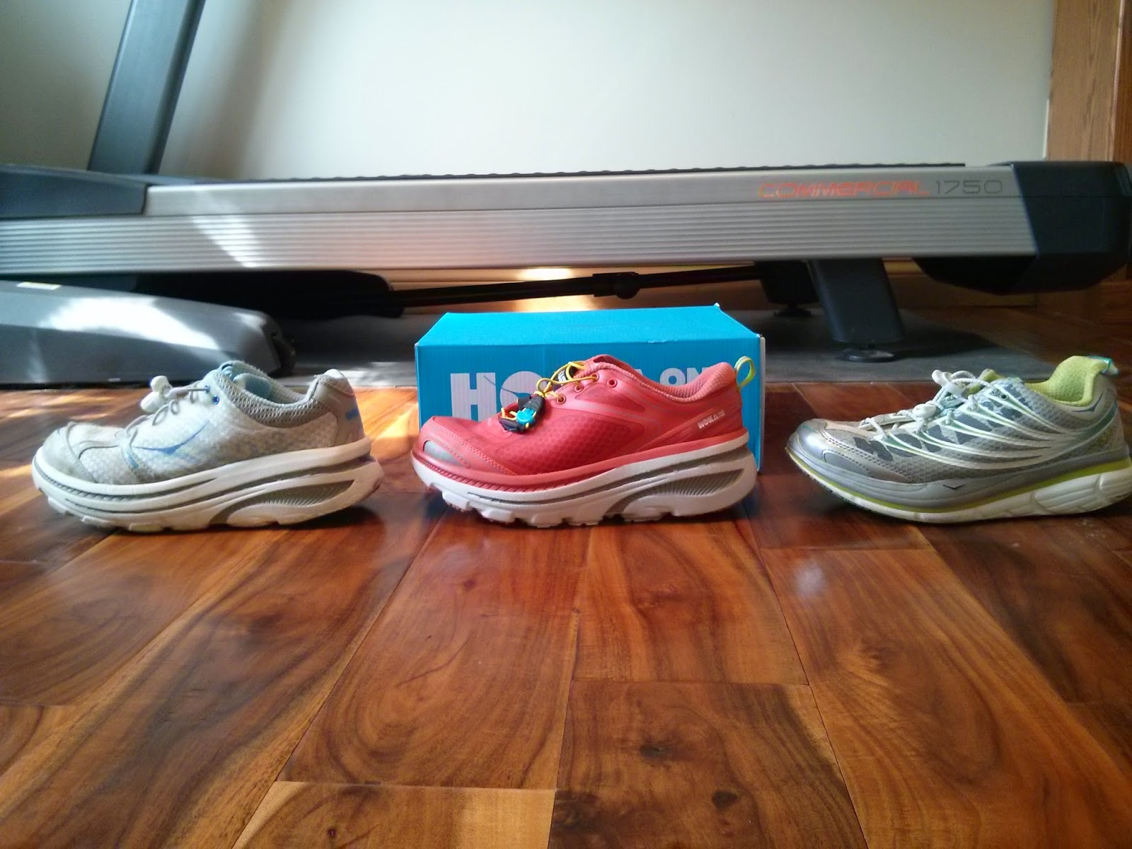 Enjoy the Journey Shoe Review Hoka Bondi 3 Enjoy the Journey Shoe Review Hoka Bondi 3