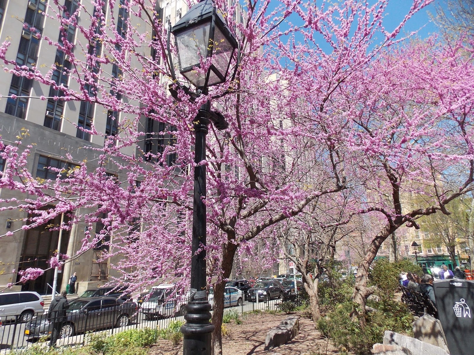 Adventures for Anyone It's Spring in New York City! Latest Tips for