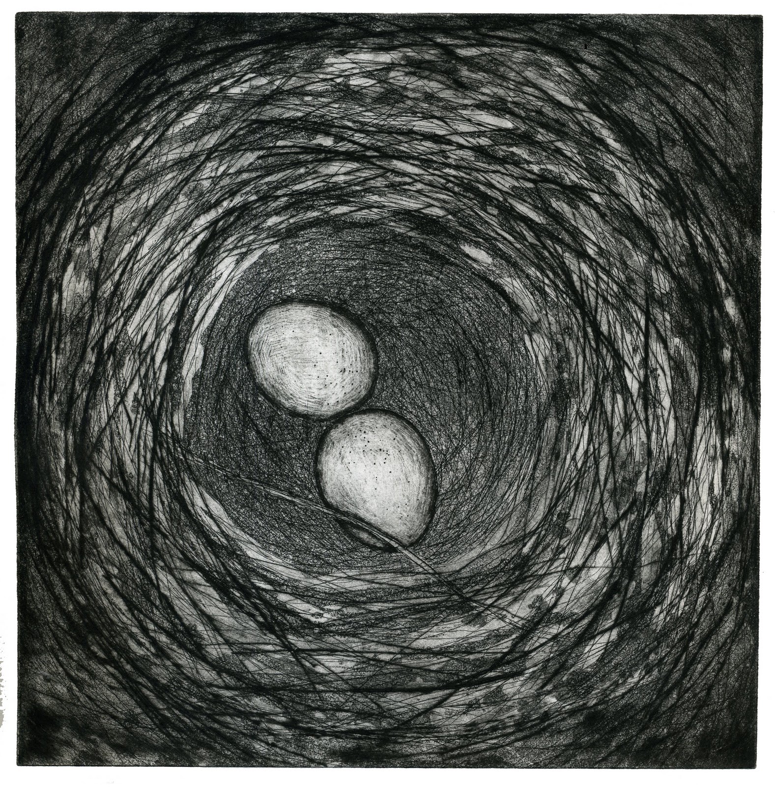 Intensely Admired First Semester of Intaglio Etching Fall 2012