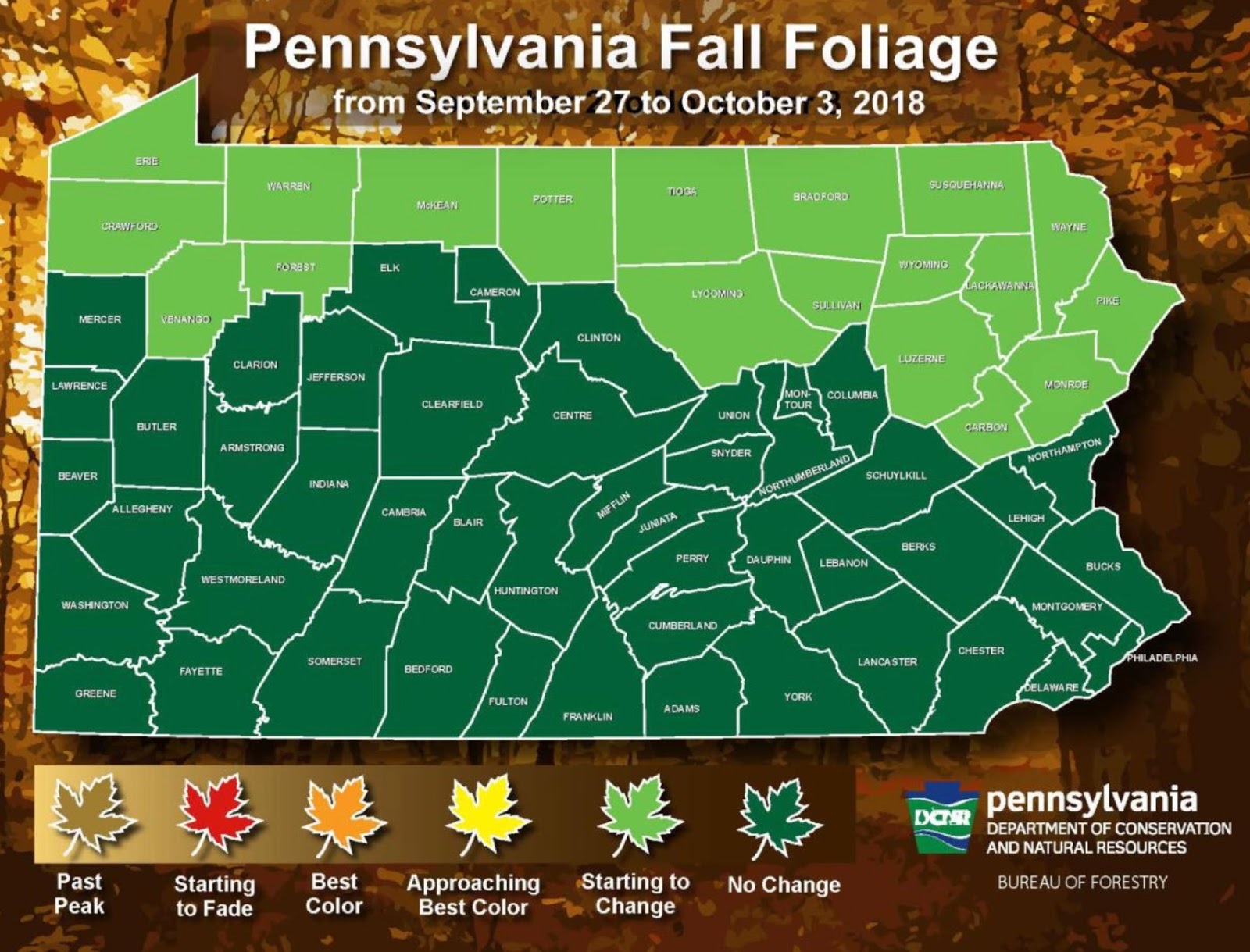 PA Environment Digest Blog Week 1 Fall Foliage Report Trees