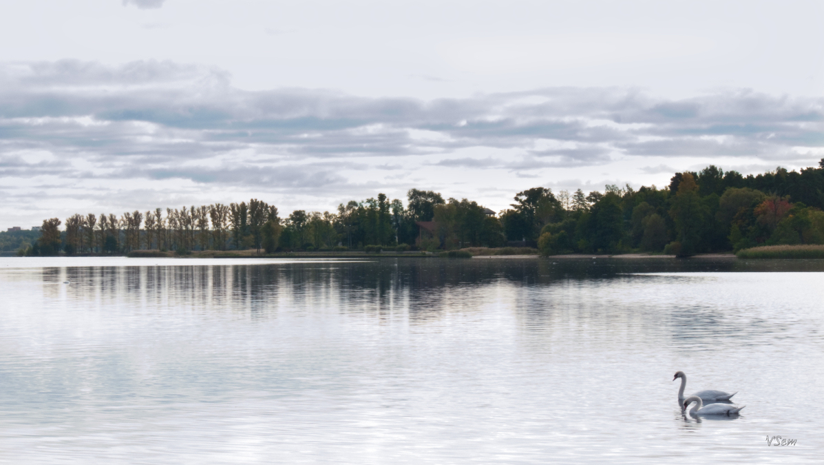 В озеро имеющее среднюю. Кишэзерс озеро. Озеро Кишэзерс Латвия пляжи. Кишозеро в Риге. Озеро Кишэзерс окрестности.