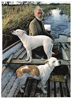 One dog goes one way and the other goes the other One dog goes one way and the other goes the other