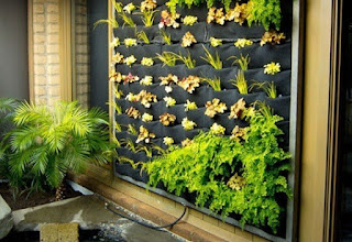 Backyard Hydroponics Gardening Ideas Backyard Hydroponics Gardening Ideas