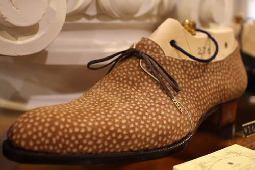 The Shoe AristoCat: Il Quadrifoglio- Carpincho (Capybara) hide creations