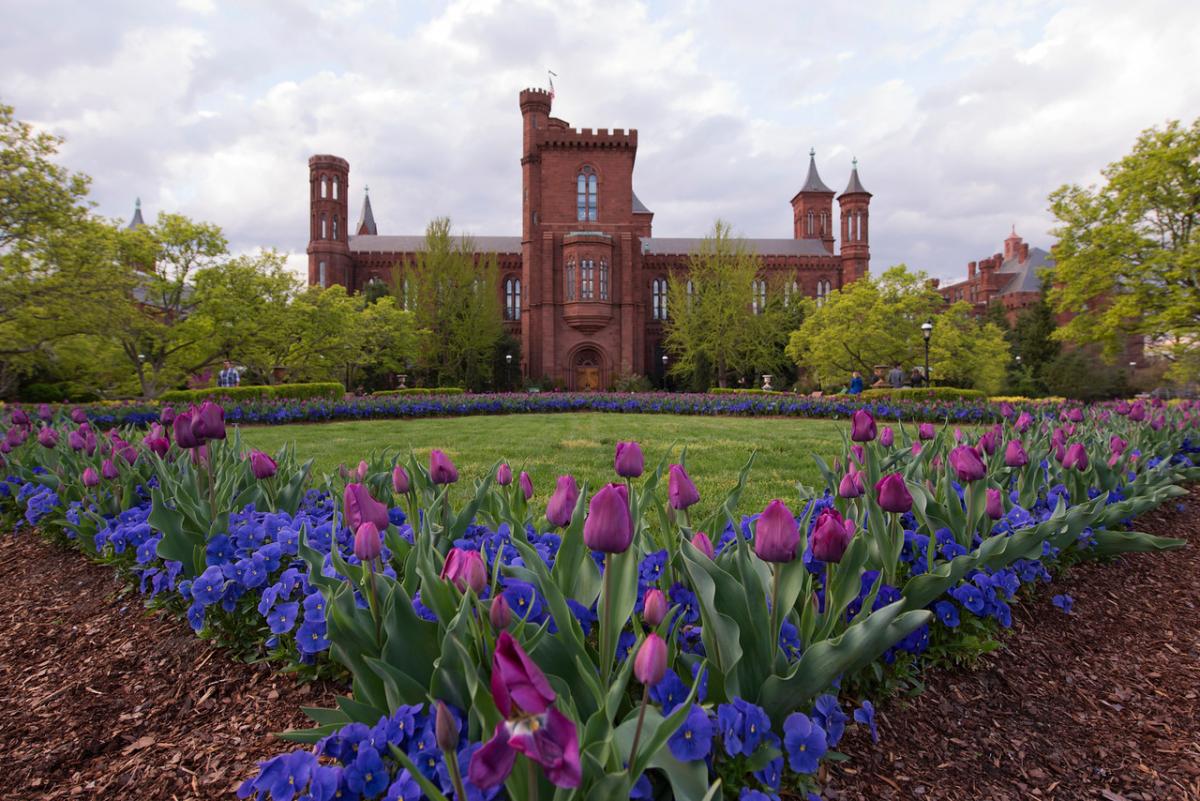 Where To Park Near Smithsonian Museum Of Natural History Where To Park Near Smithsonian Museum Of Natural History