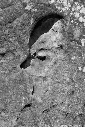 Crane d'œuf, Fontainebleau Crane d'œuf, Fontainebleau