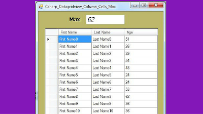 datagridview column max value