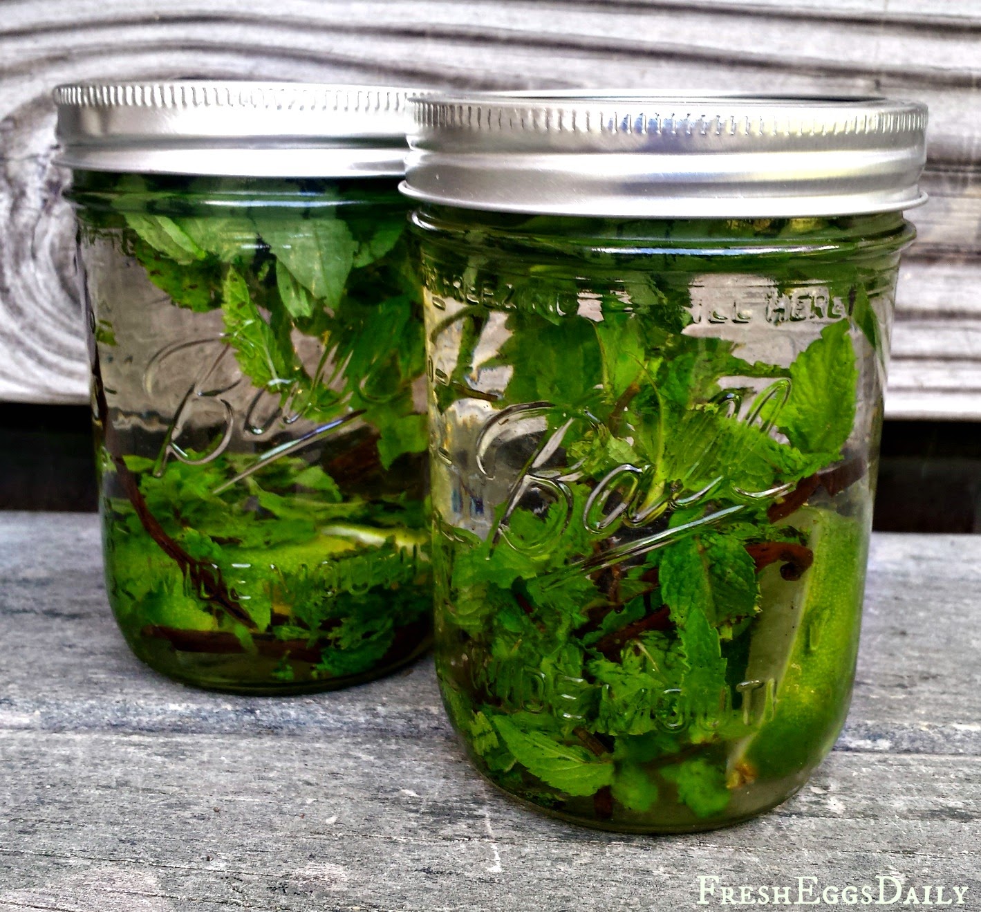 All Natural Basil Mint Herbal Fly Spray Fresh Eggs Daily® with Lisa