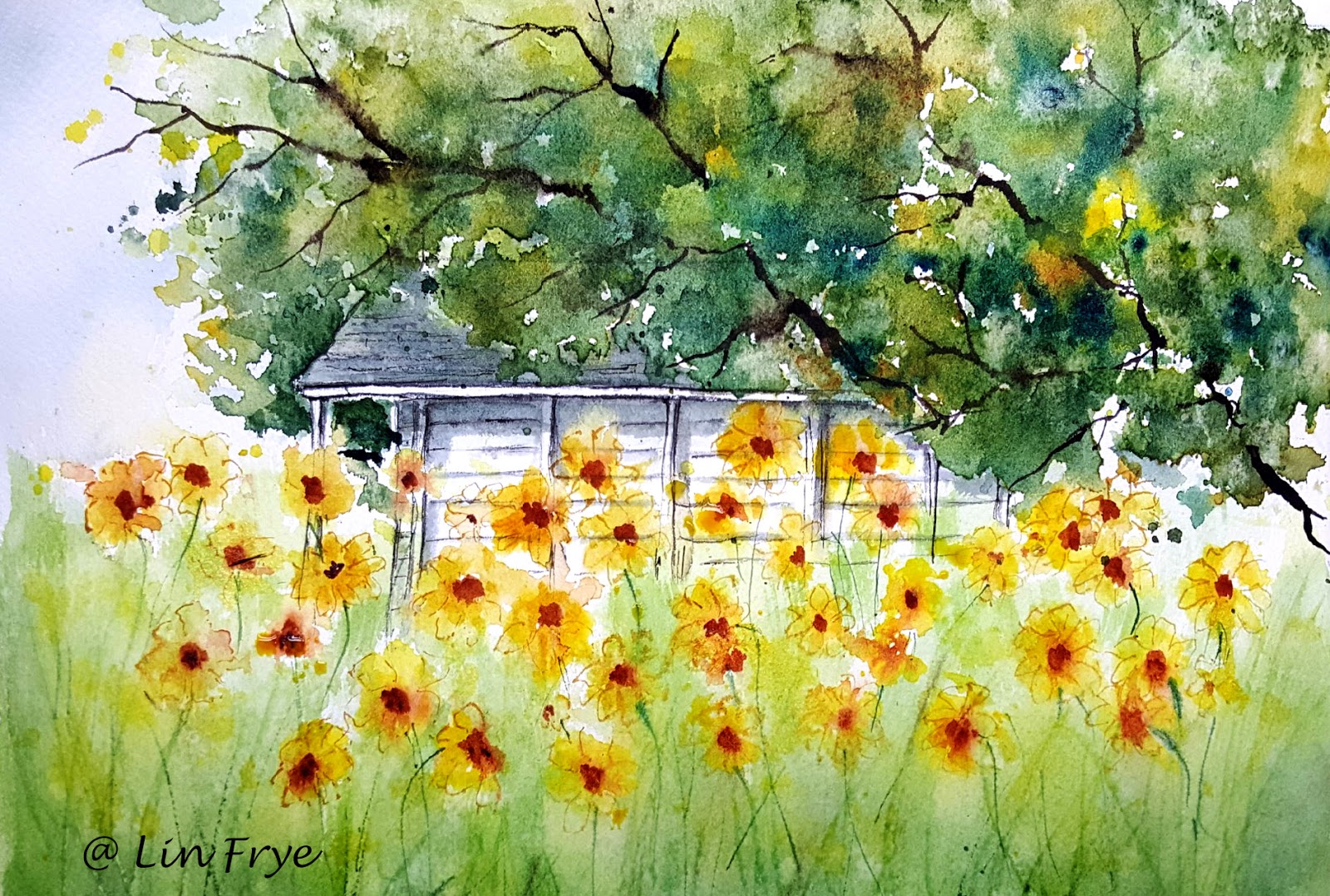 View From the Oak Tom's Sunflowers