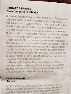 Salome essay 06 image