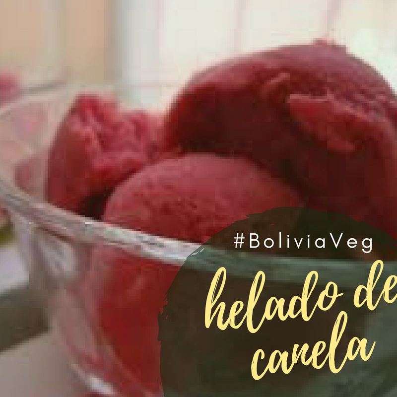 BoliviaVeg Helado de Canela