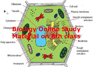 Biology Online Study Material on 8th class