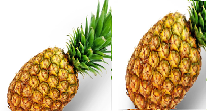 Pineapple meaning in tamil, telugu, marathi, kannada, malayalam, in hindi name, gujarati, indian name, english, other names called as, translation Pineapple meaning in tamil, telugu, marathi, kannada, malayalam, in hindi name, gujarati, indian name, english, other names called as, translation
