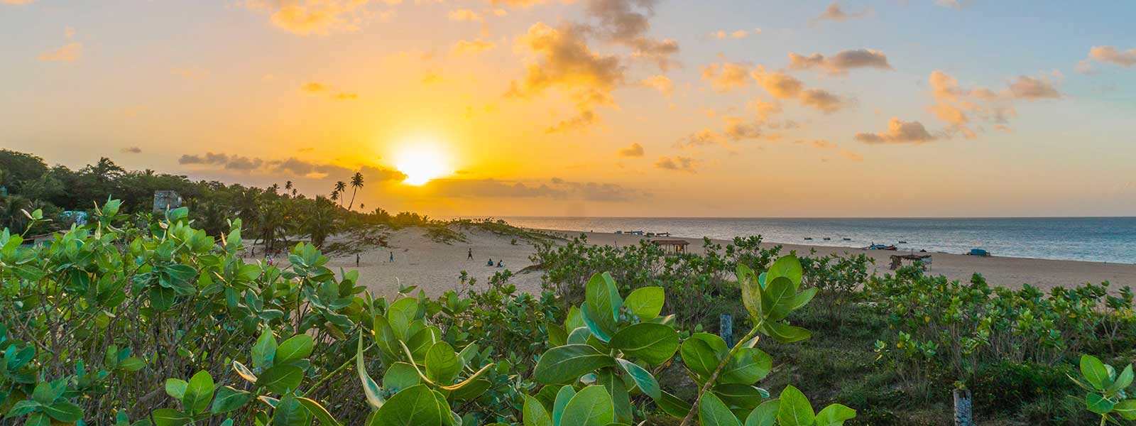 Visiter les Communes de Guyane Française. Decouvrir-les-Communes-de-Guyane-Française