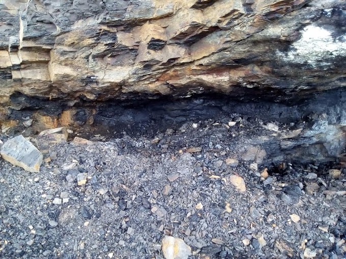 CAS investiga explotación ilegal de carbón y frailejones en el páramo de Almorzadero, jurisdicción de Carcasí