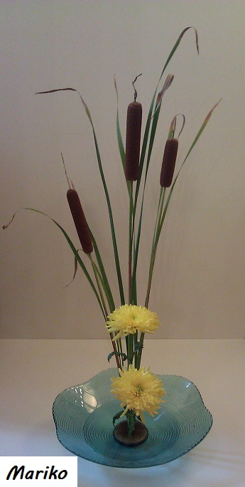 Mariko's Ikebana: Shoka shimputai of broadleaf cattail ... diagram of flower anatomy 