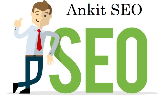 ankit seo expert freelancer delhi gurgaon faridabad noida freelancing services