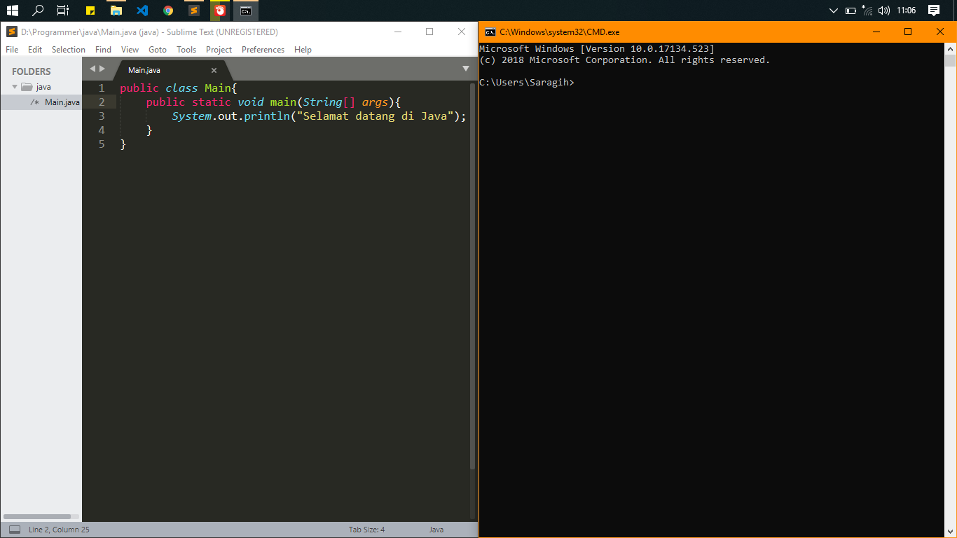 Program d1. Program d1