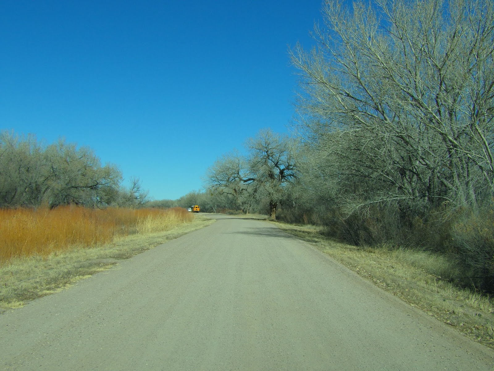 Bosque Del Apache National Wildlife Refuge, New Mexico