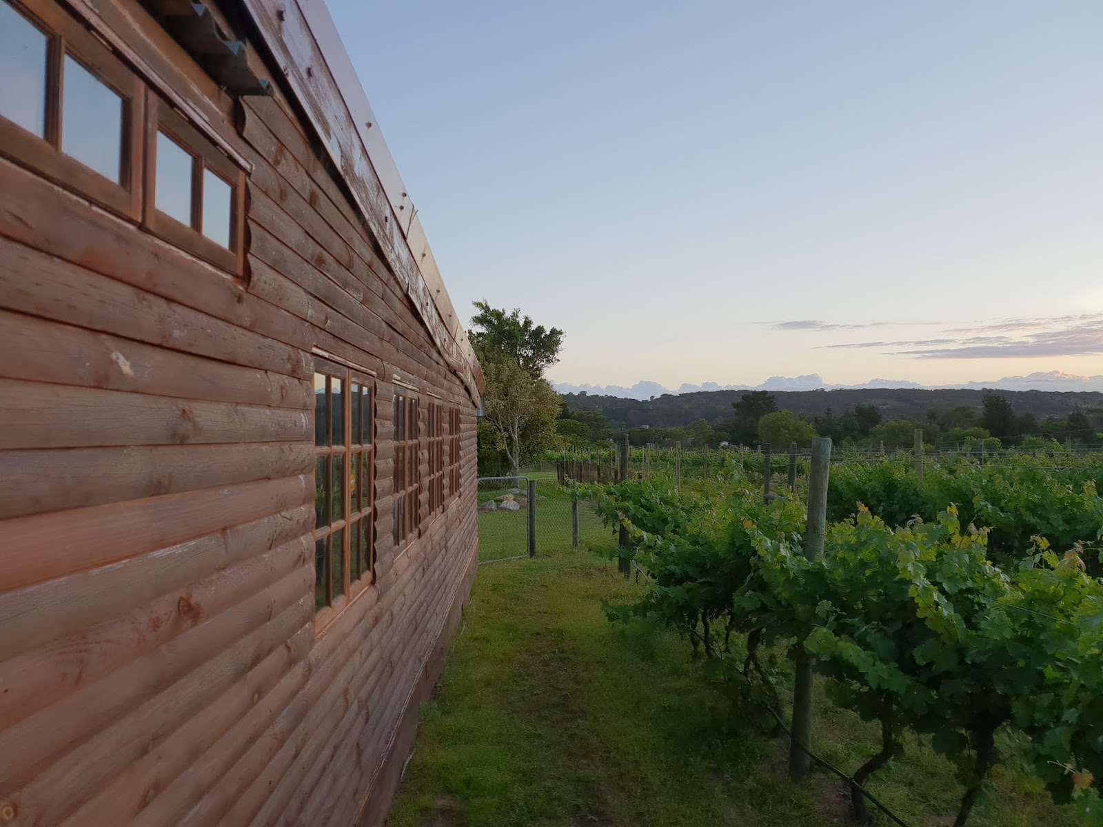 theescombe wine estate