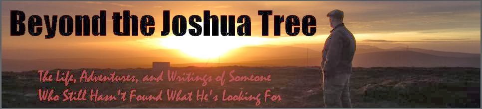 Beyond the Joshua Tree