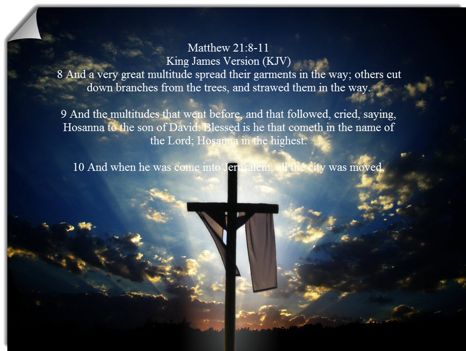 Lily Of The Valley COGIC Newsletter Matthew 21 8 11 King James Version Lily Of The Valley COGIC Newsletter Matthew 21 8 11 King James Version