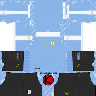 custom kit dls 2019