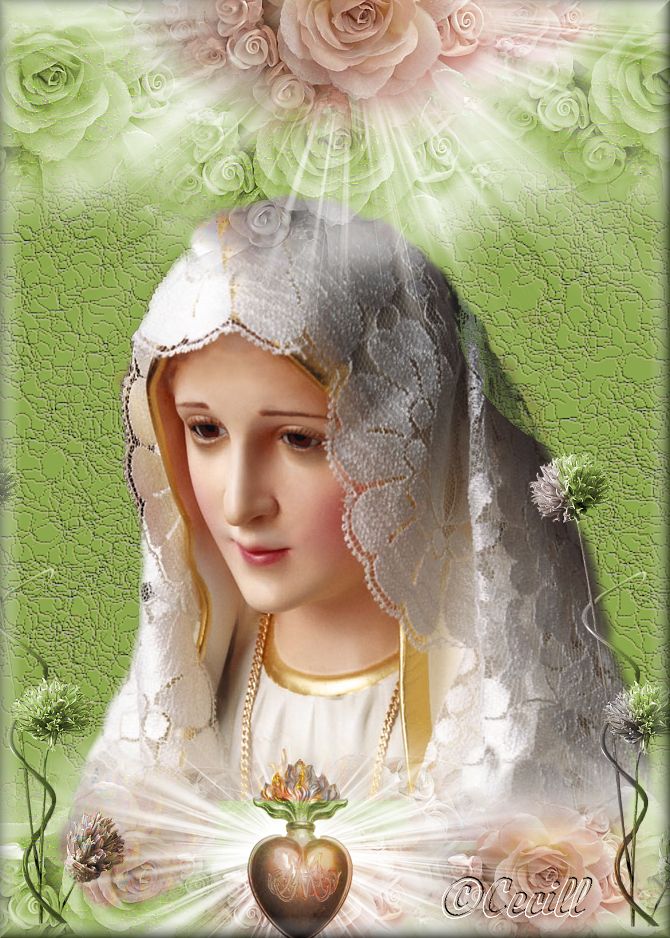 Vidas Santas: Nuestra Señora del Rosario de Fátima