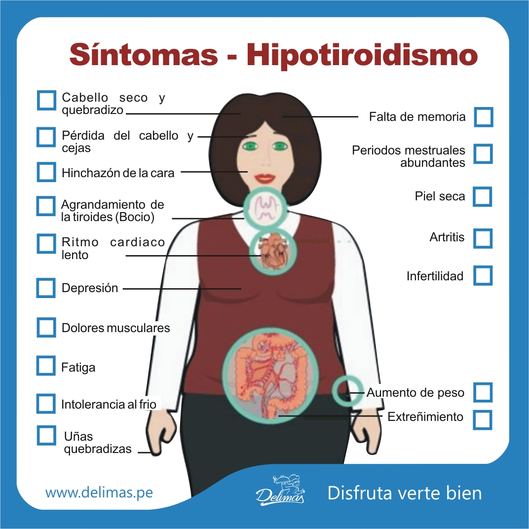 Hipotiroidismo Sintomas Seo Positivo