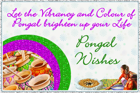 Happy Pongal Whats app Status | Facebook Sms |Quotes|Wishes|Greetings|Gif  Animated Pictures|Scraps