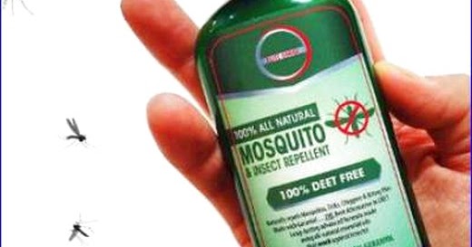 Homemade Mosquito Repellent For Yard You Should Try - Sky Insects