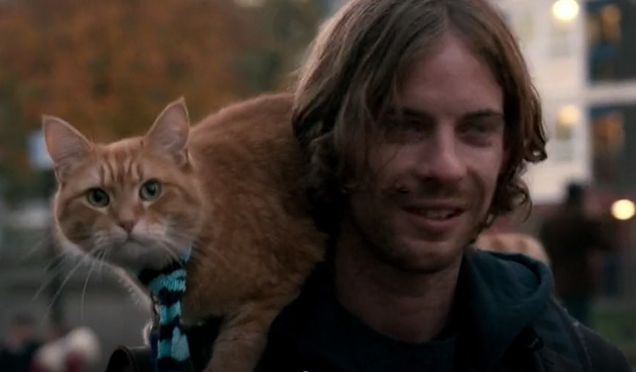 Resenha do filme Um Gato de