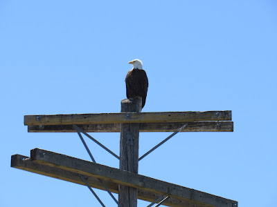 Tule Lake National Wildlife Refuge California