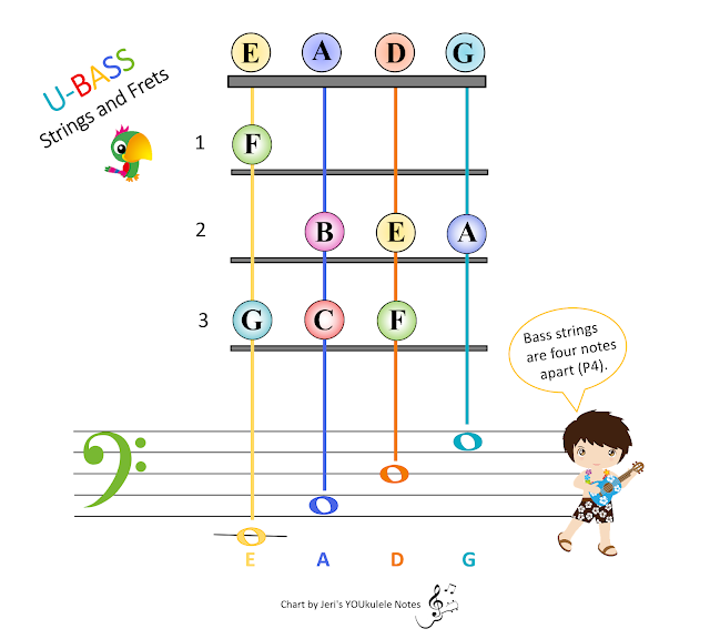 Jeri's YOUkulele Notes UBass Bassics Bass Ukulele