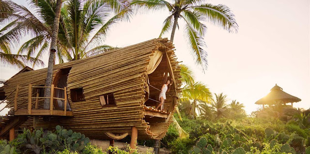 The best tree house hotels from around the world